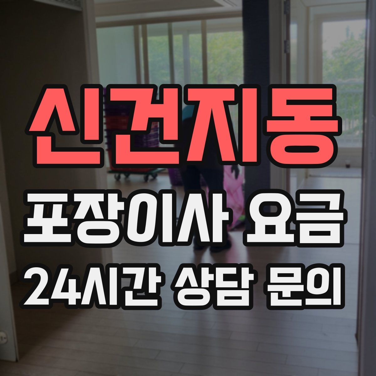 신건지동 포장이사 요금