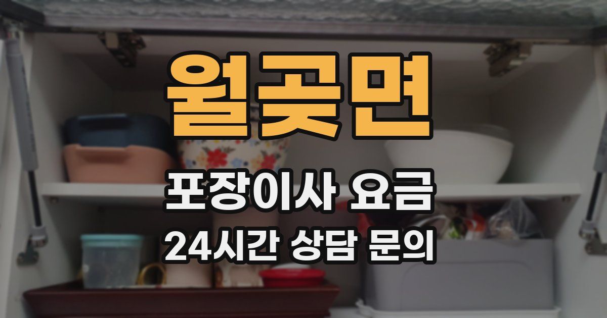 월곶면 포장이사 요금