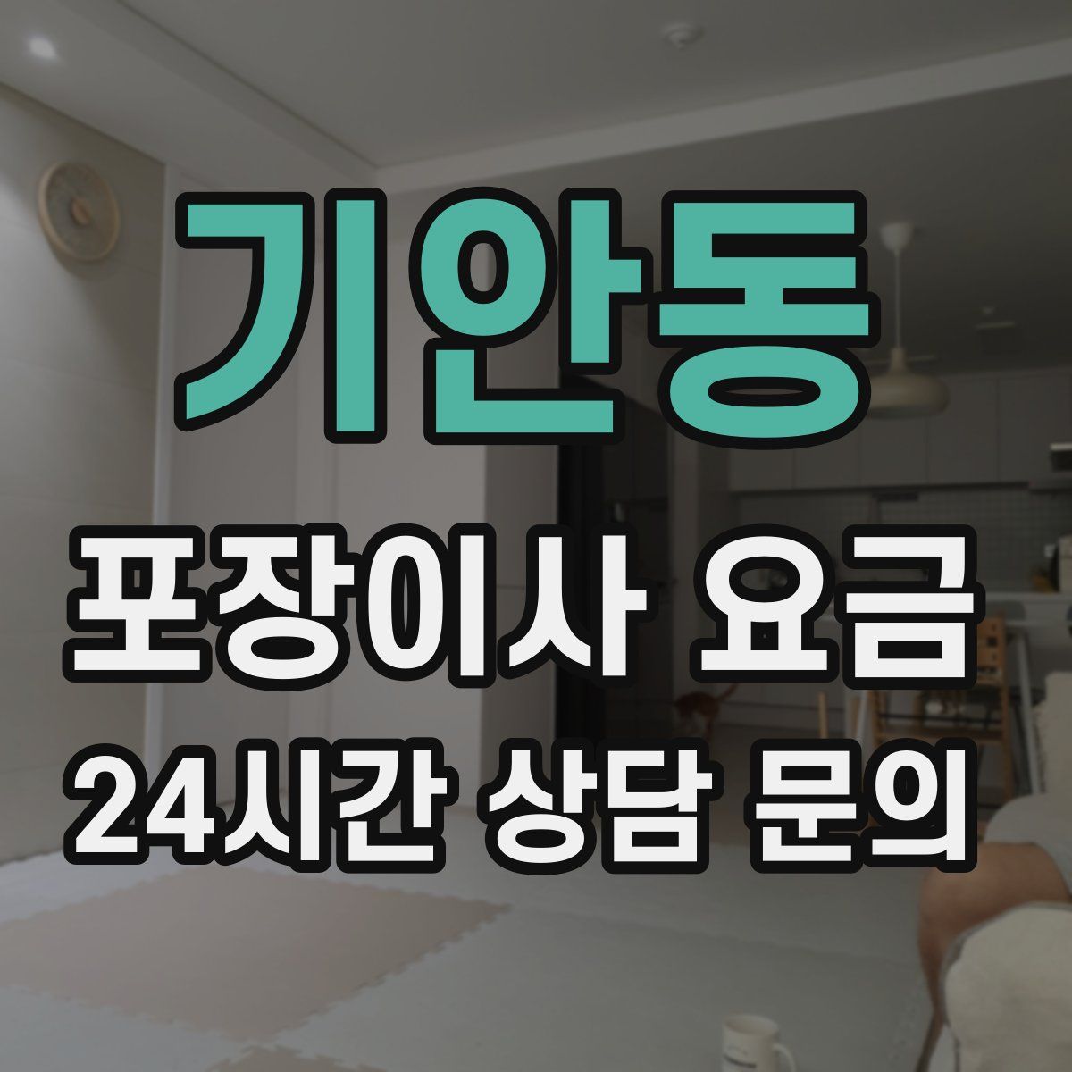 기안동 포장이사 요금