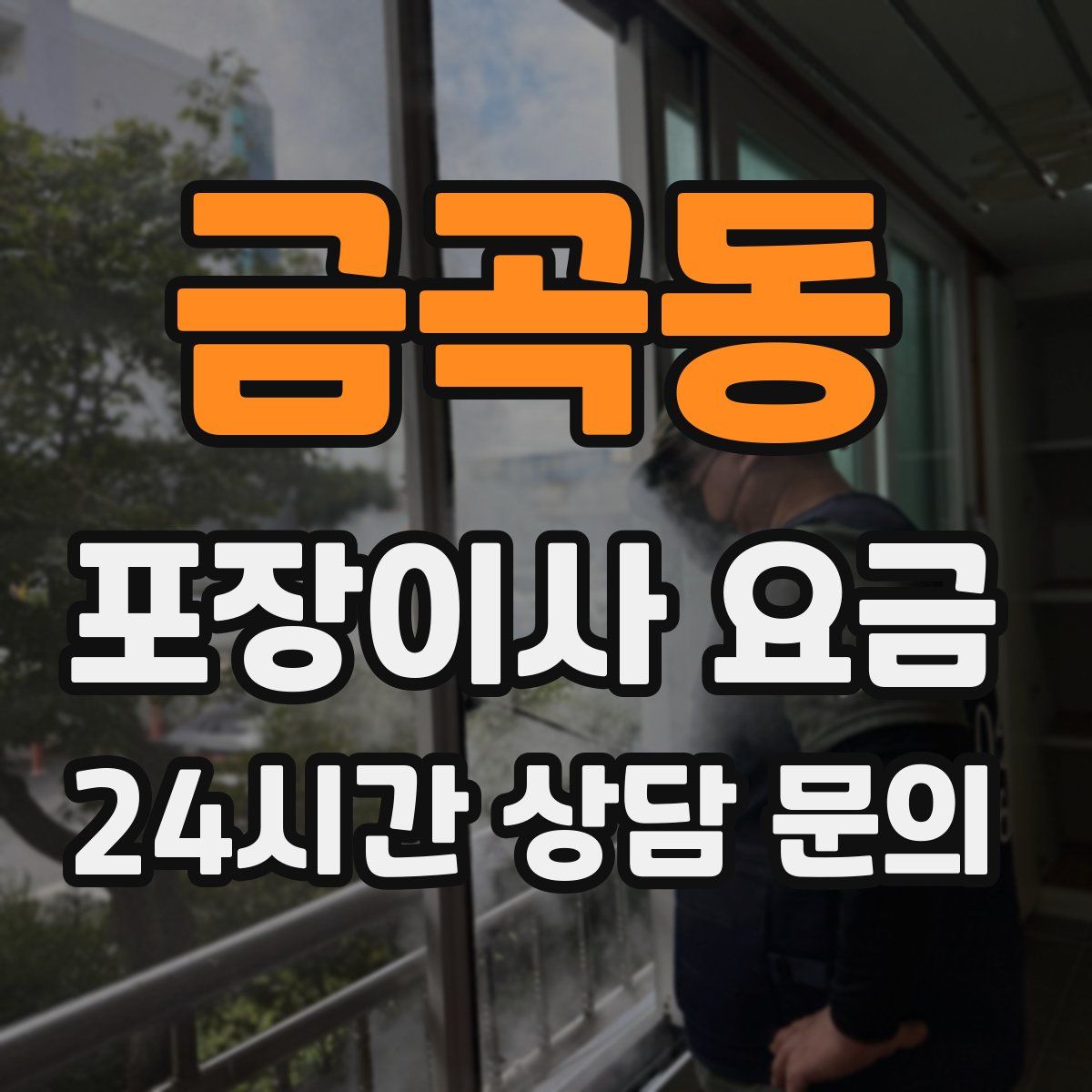 금곡동 포장이사 요금