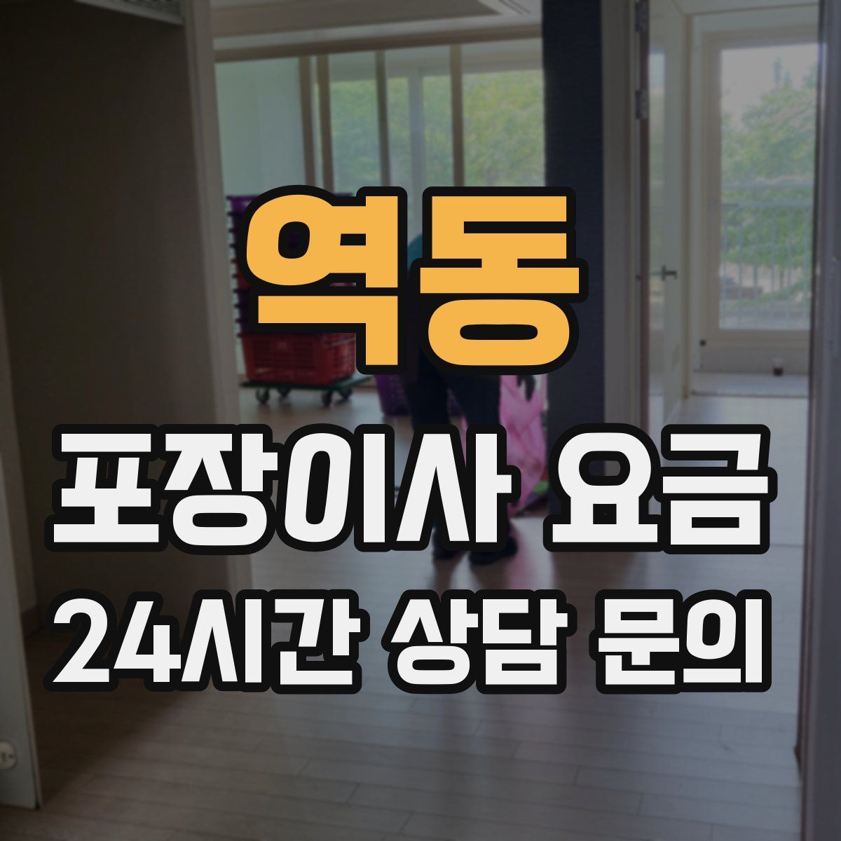 역동 포장이사 요금