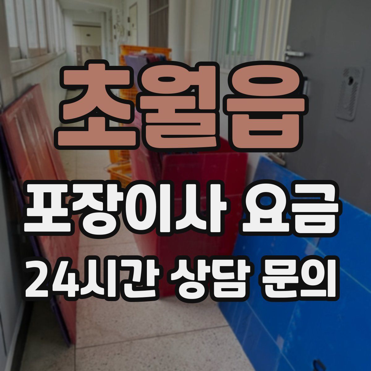 초월읍 포장이사 요금