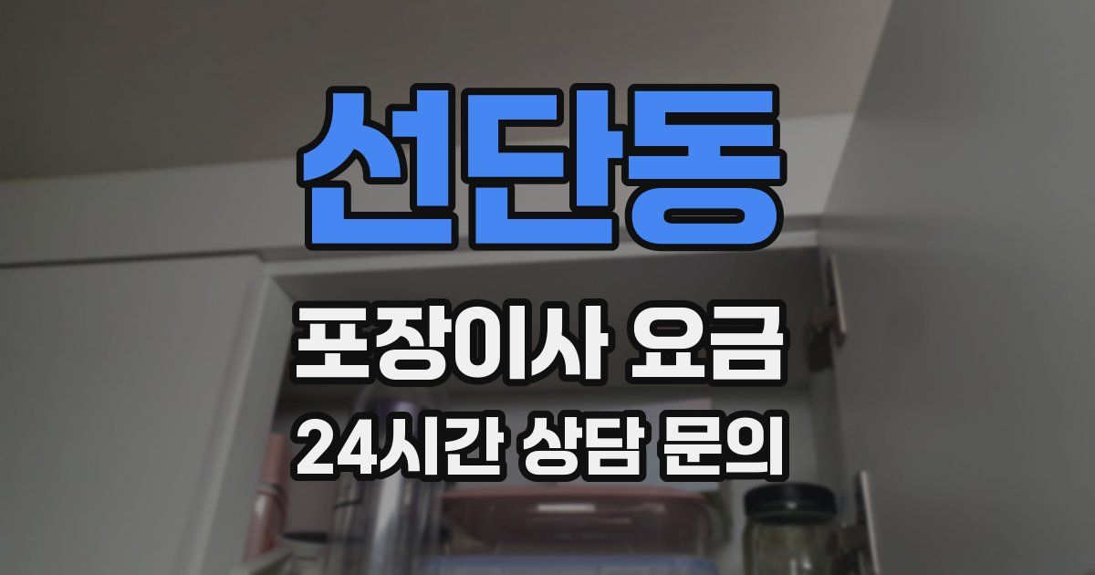 선단동 포장이사 요금