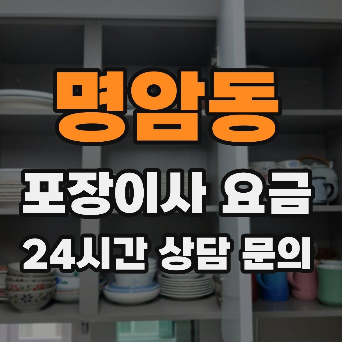 명암동 포장이사 요금 반려동물이 있으면 준비가 달라지는 이유