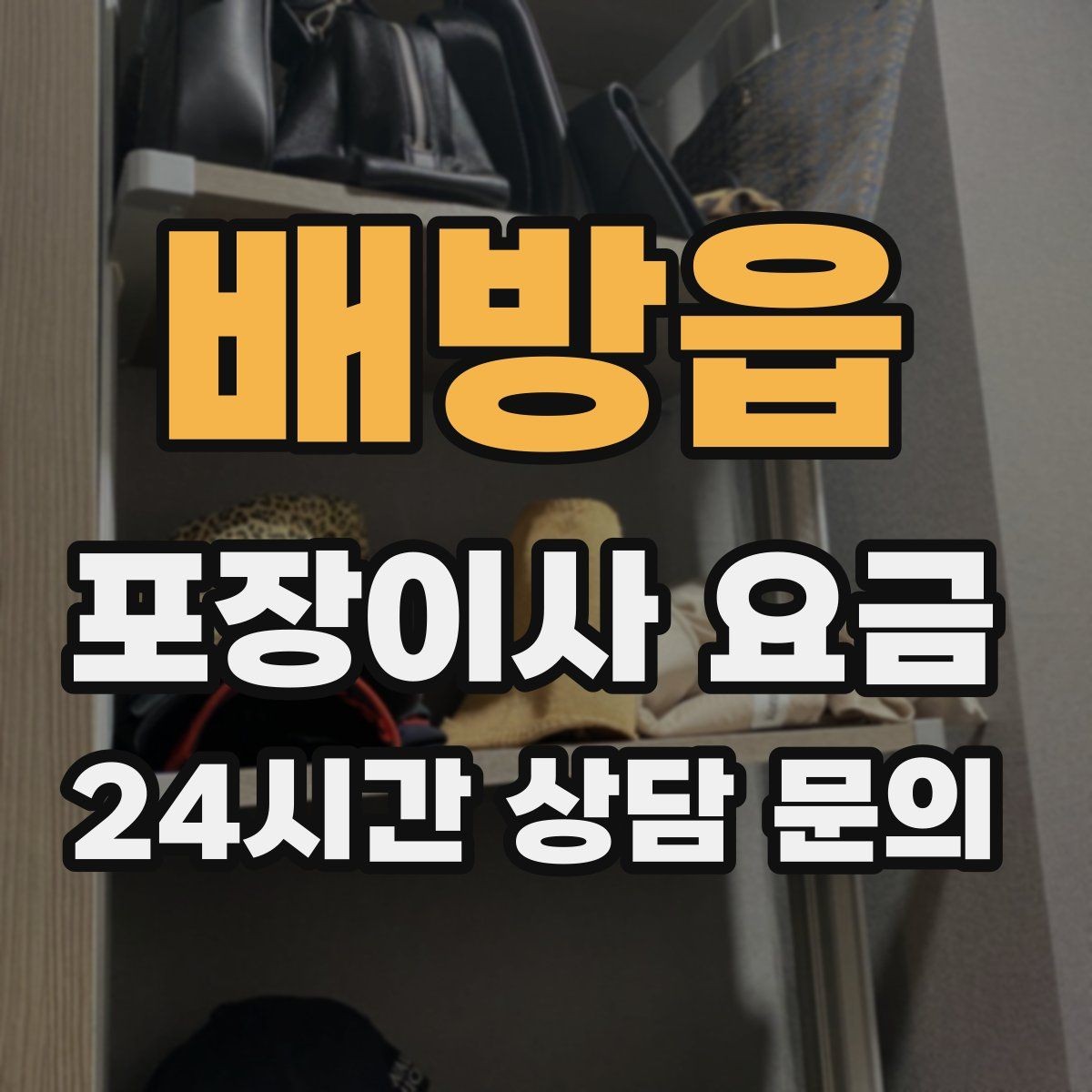 배방읍 포장이사 요금 반려동물 스트레스 줄이는 이사 당일 동선