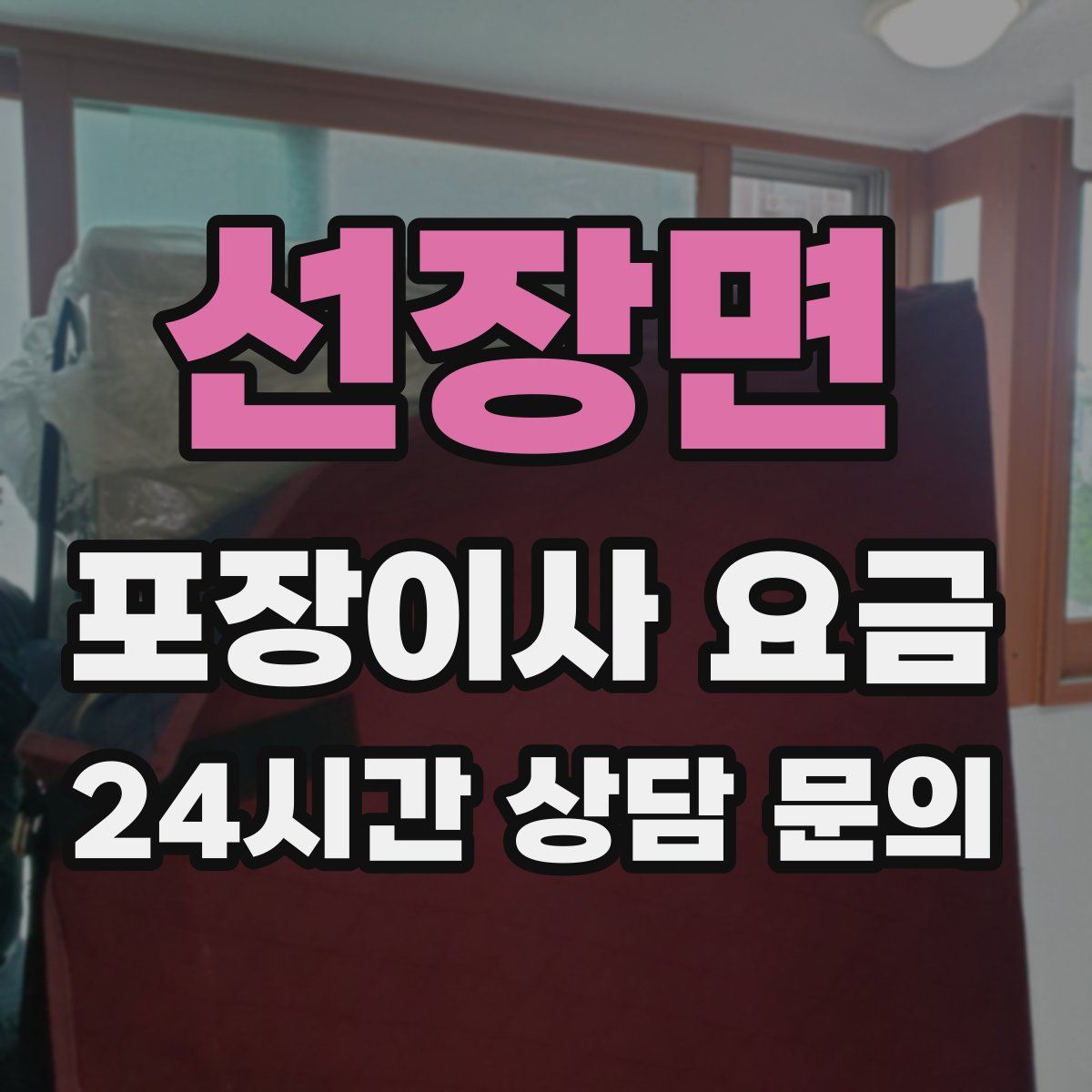 선장면 포장이사 요금