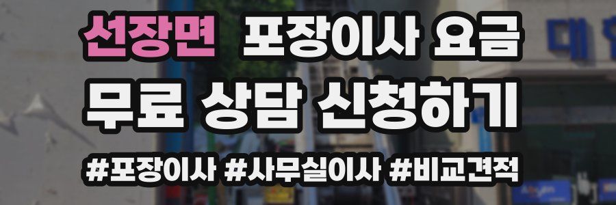 선장면 포장이사 요금