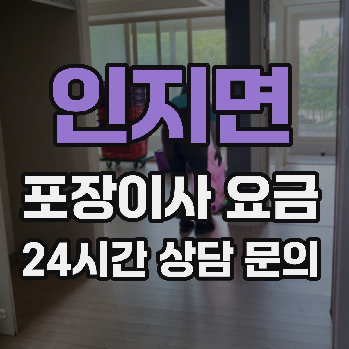 인지면 포장이사 요금 어항 이동이 어려운 이유와 준비 체크