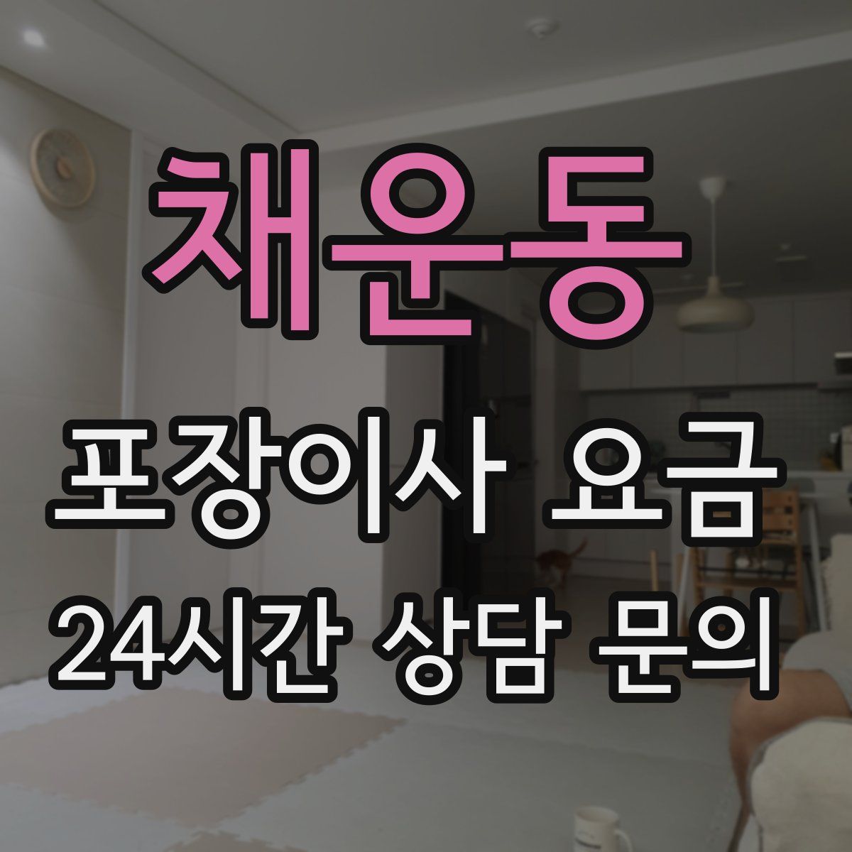 채운동 포장이사 요금