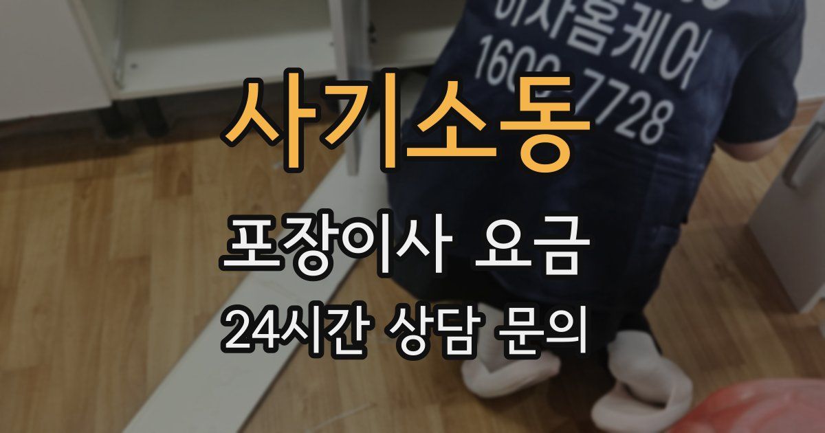 사기소동 포장이사 요금
