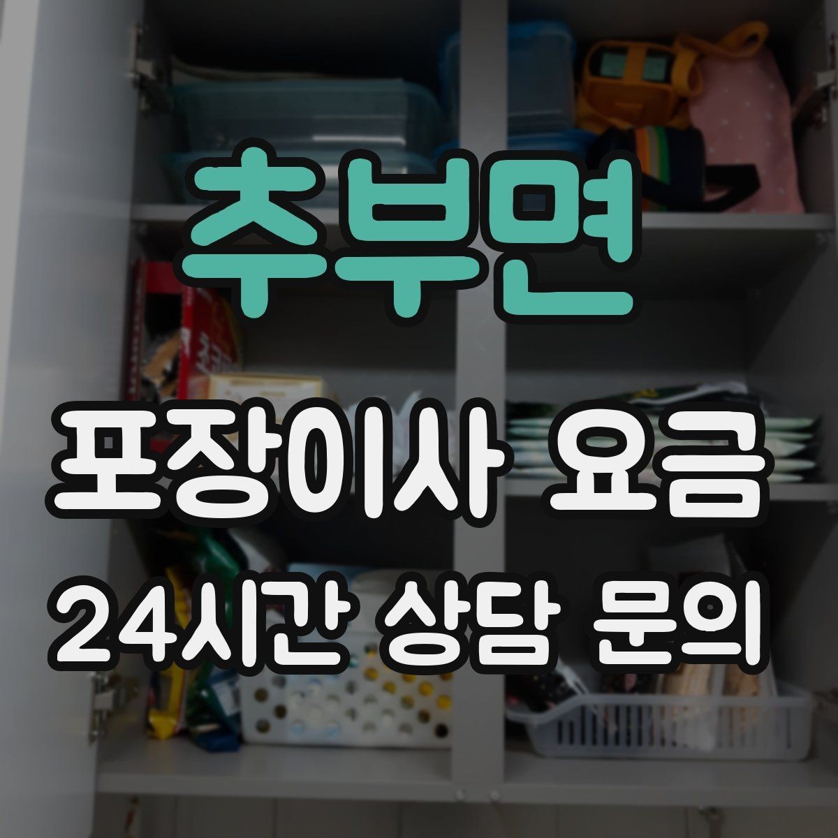 추부면 포장이사 요금 반려동물 동선 확보로 사고 줄이는 방법