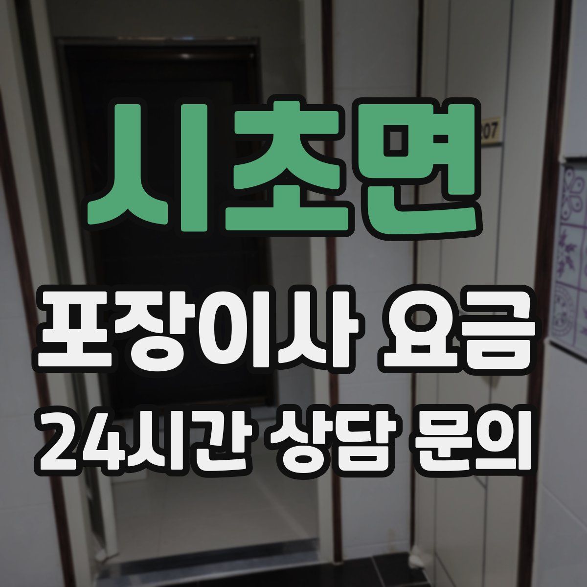 시초면 포장이사 요금