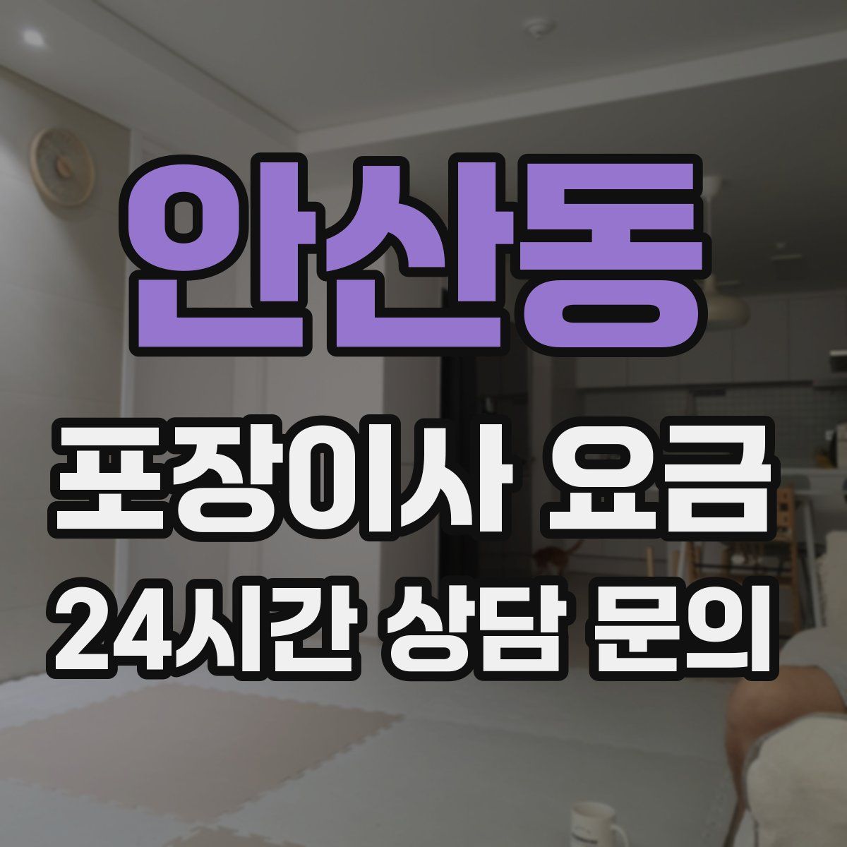 안산동 포장이사 요금