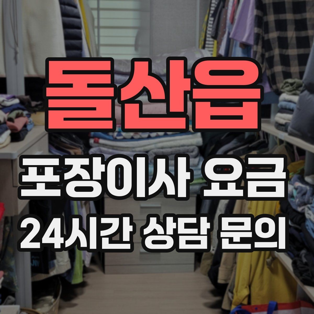 돌산읍 포장이사 요금 반려동물 이사 준비가 비용에 미치는 영향