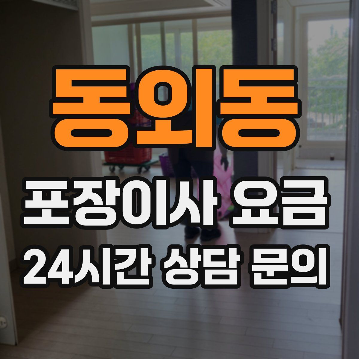 동외동 포장이사 요금