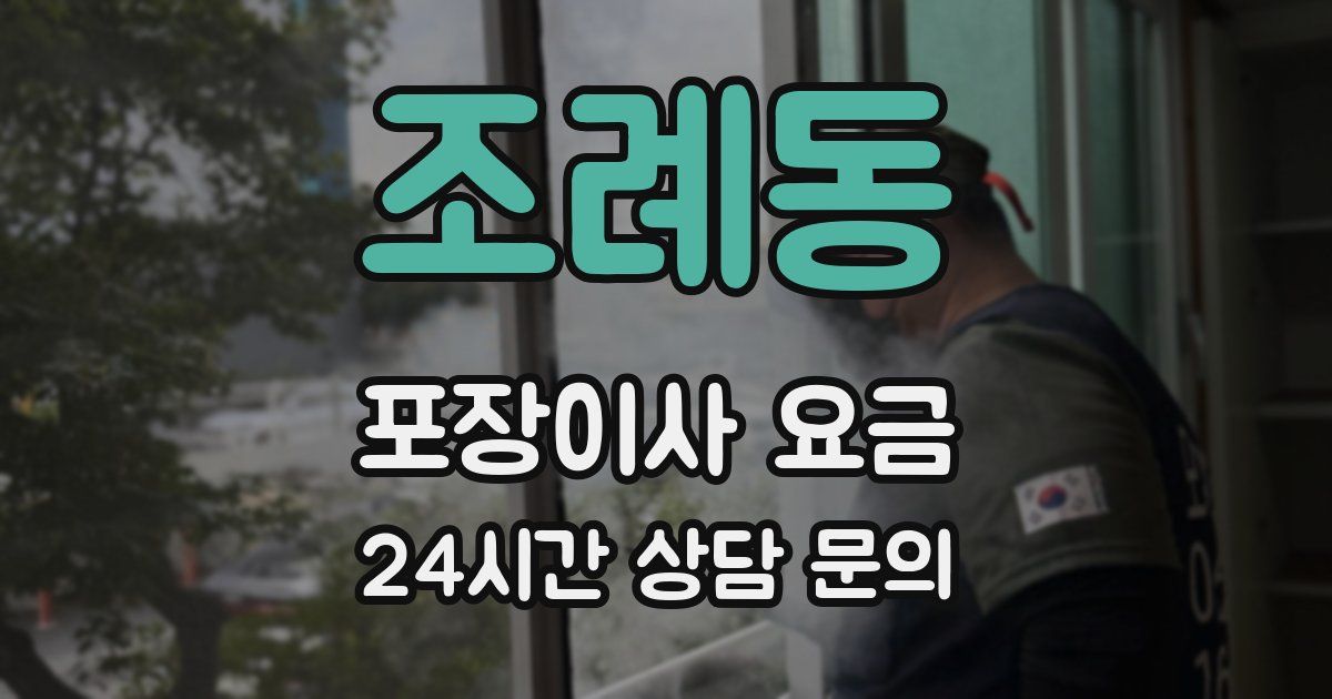 조례동 포장이사 요금