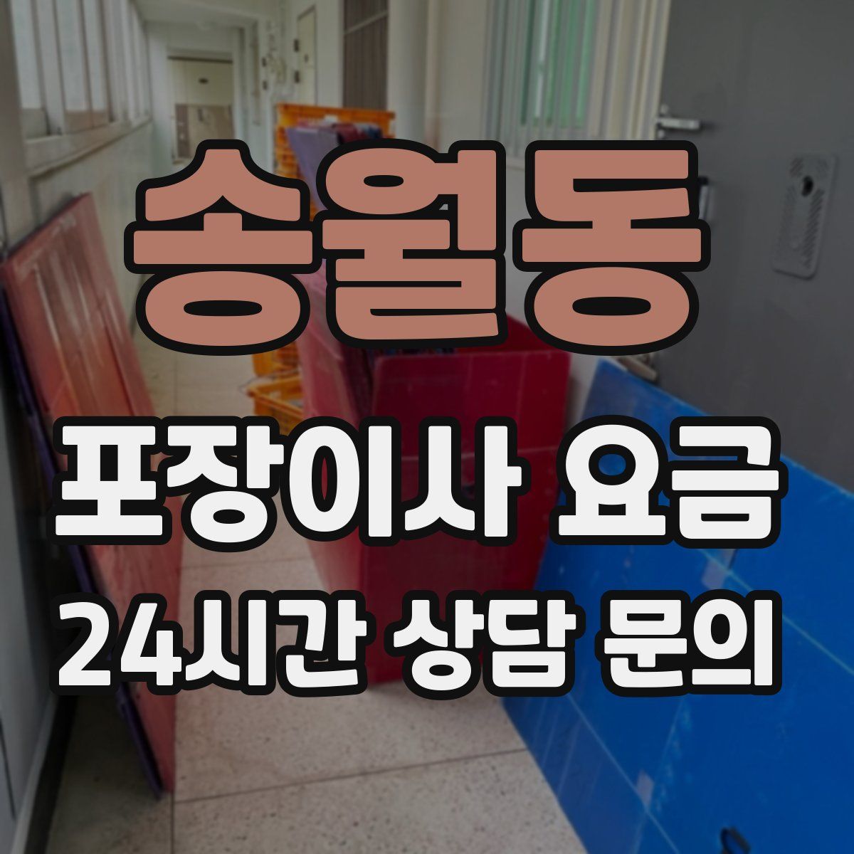 송월동 포장이사 요금