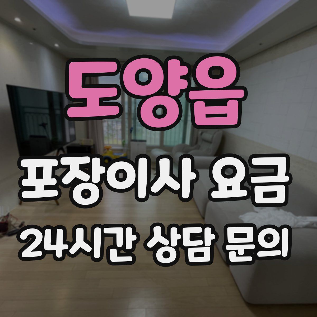 도양읍 포장이사 요금