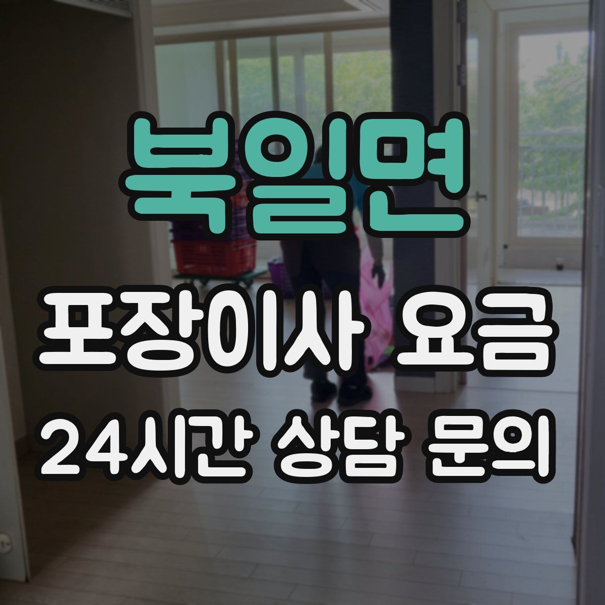 북일면 포장이사 요금