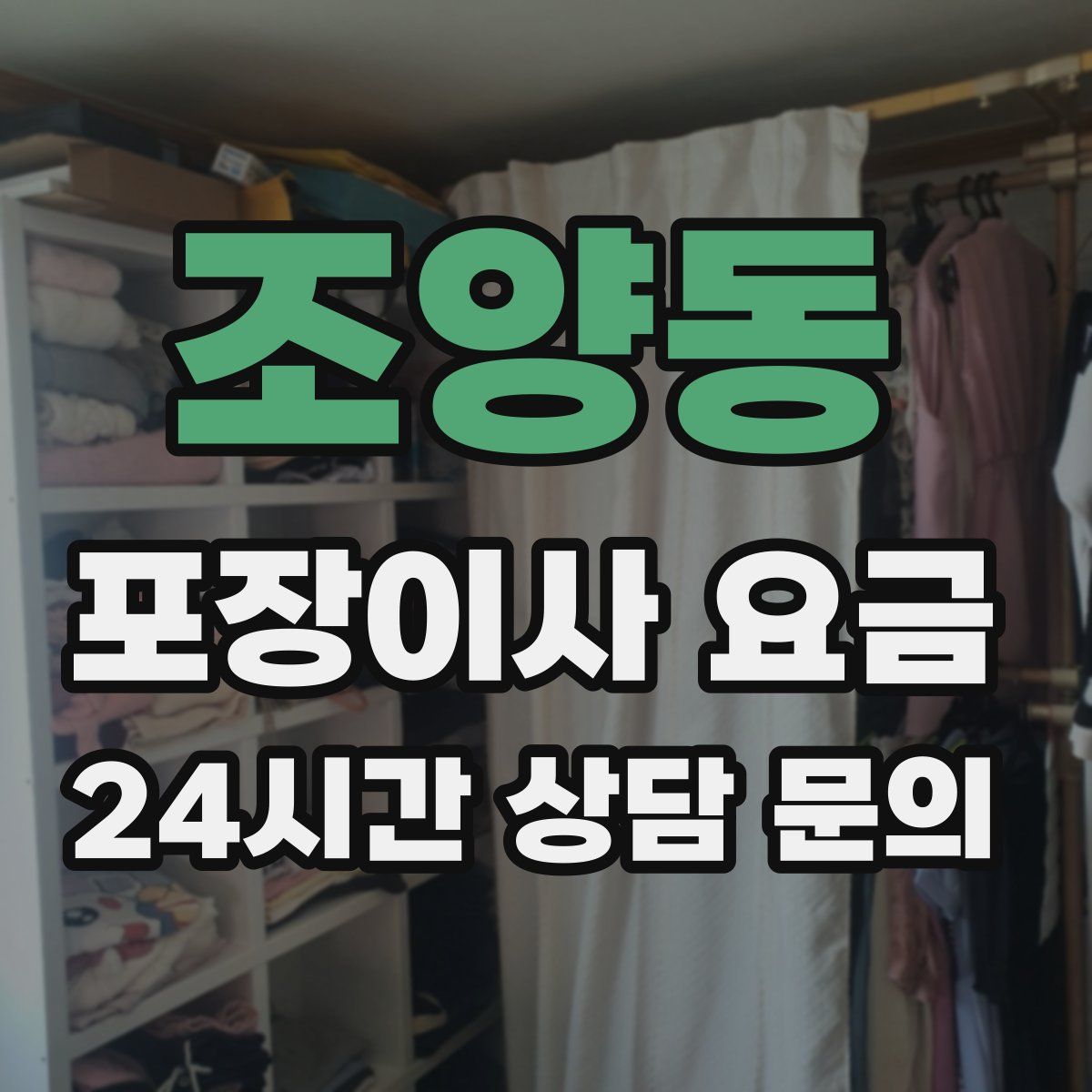 조양동 포장이사 요금