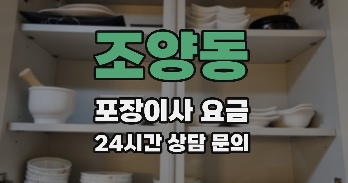조양동 포장이사 요금