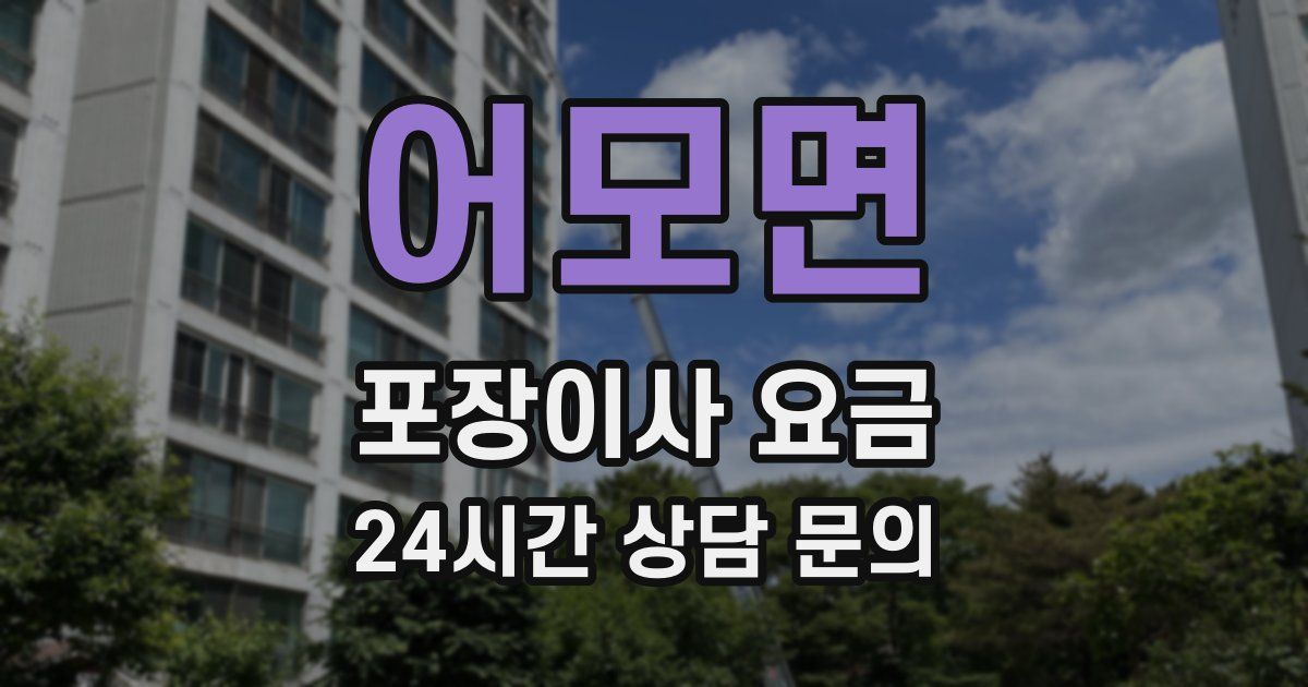 어모면 포장이사 요금