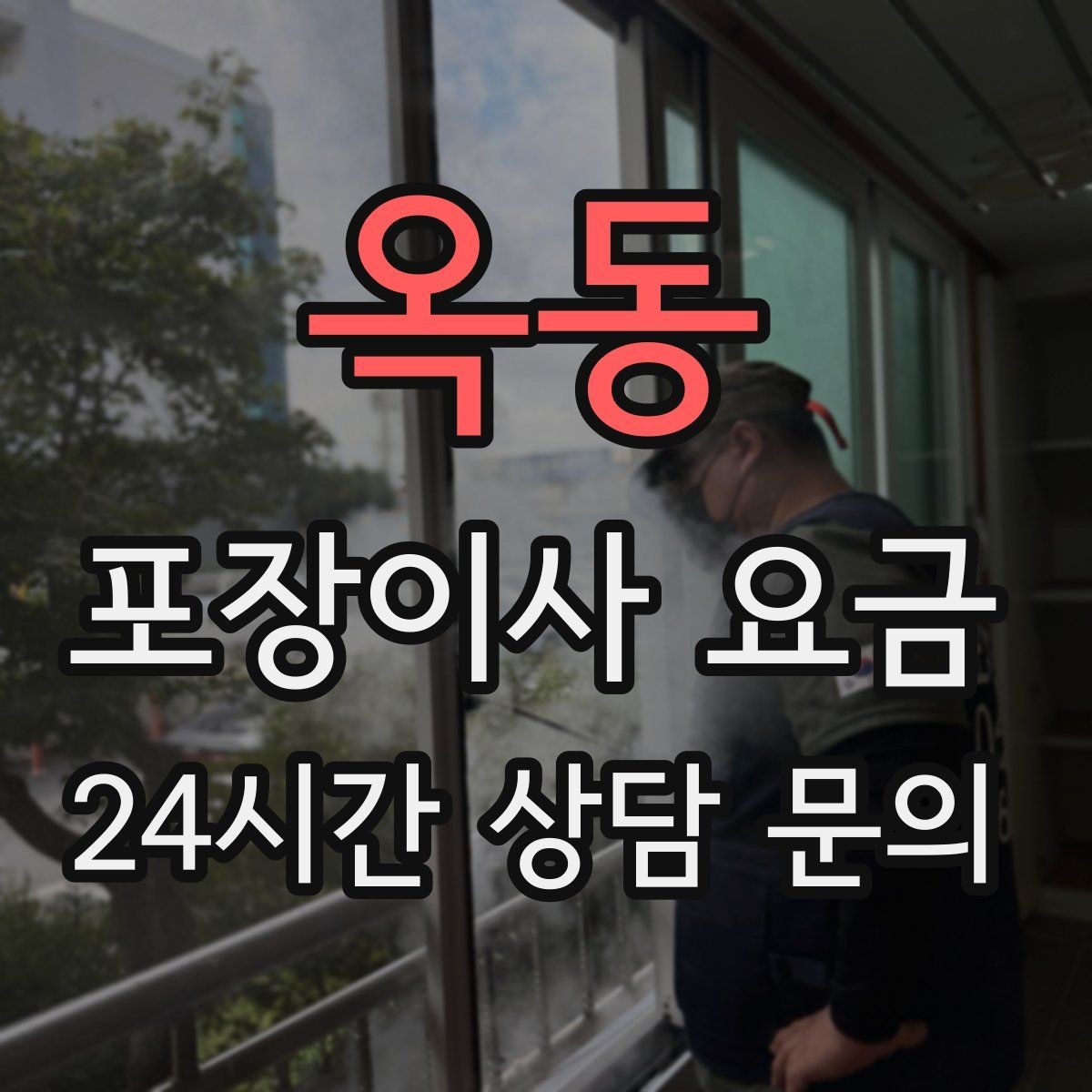 옥동 포장이사 요금 원룸 이사도 포장이사가 필요한 경우