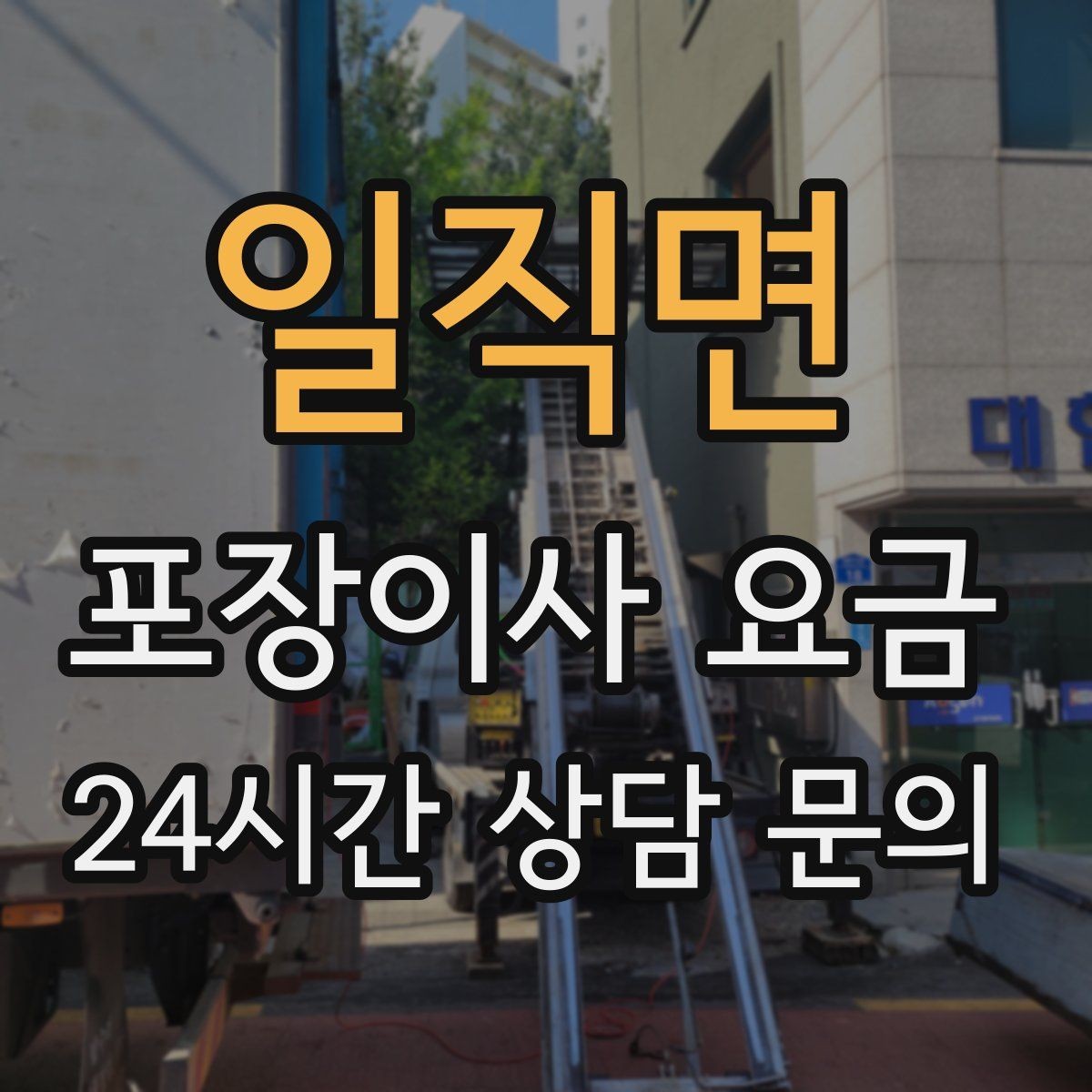 일직면 포장이사 요금 전입신고·주소 변경과 이사 일정 맞추기