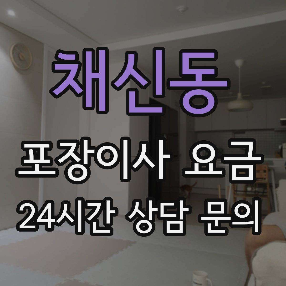 채신동 포장이사 요금 반려동물 이사 준비가 비용에 미치는 영향