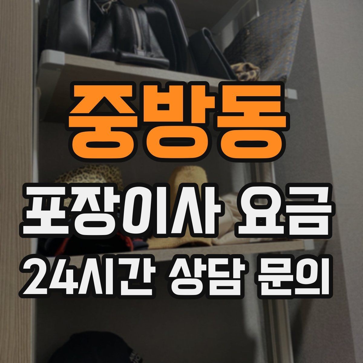 중방동 포장이사 요금 어항·대형 화분이 있을 때 견적 포인트