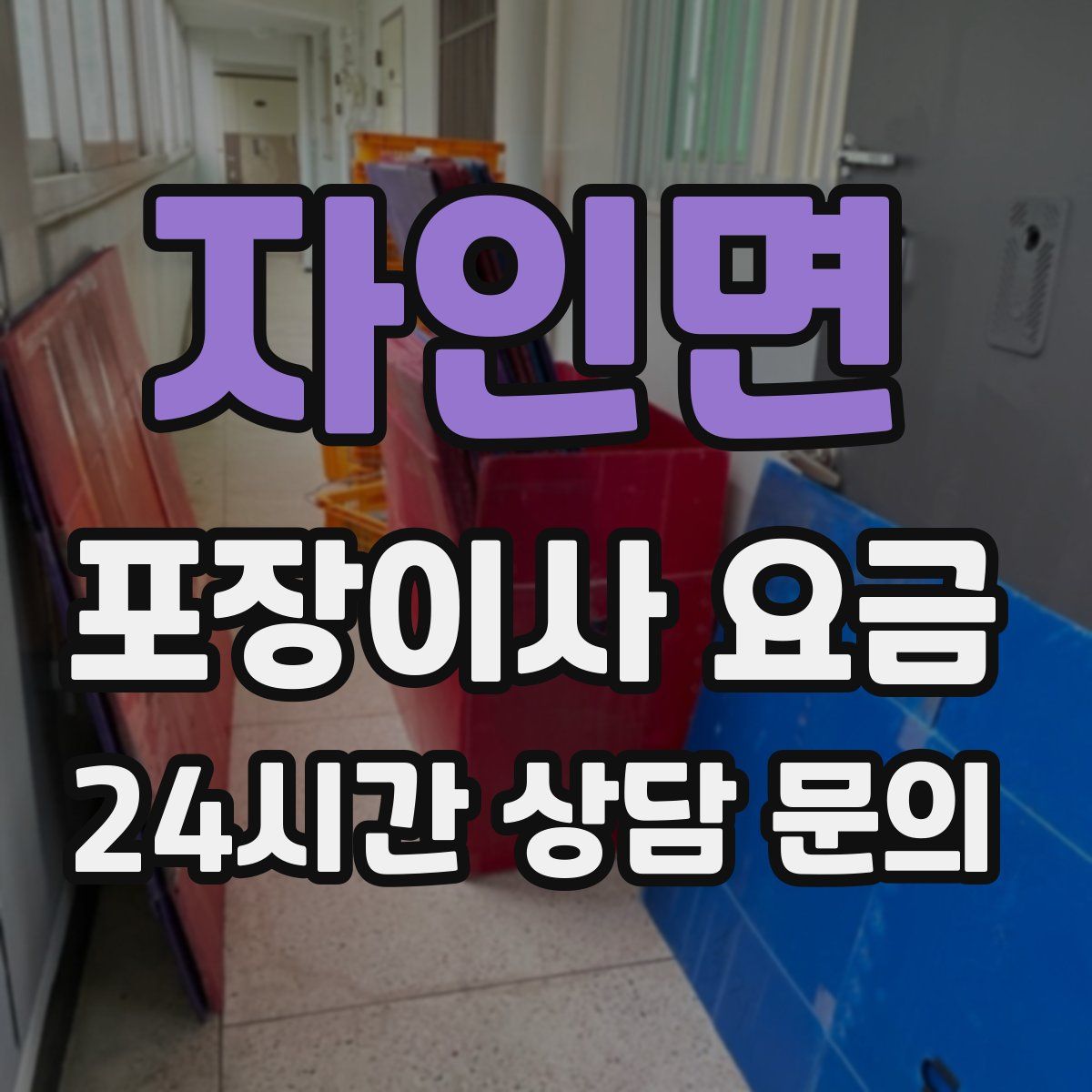자인면 포장이사 요금