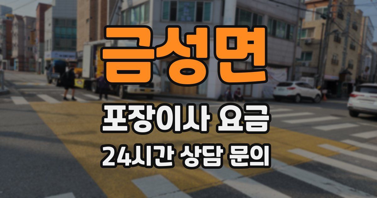 금성면 포장이사 요금
