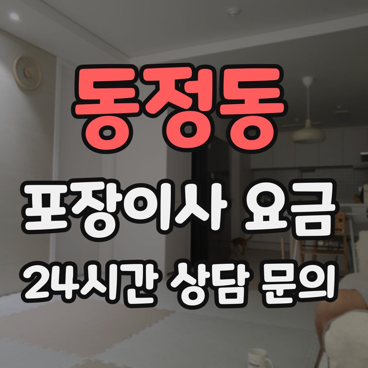 동정동 포장이사 요금