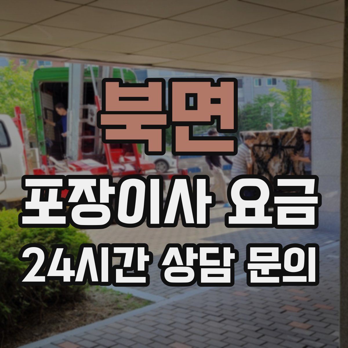북면 포장이사 요금 정리정돈 서비스가 필요한 집의 특징