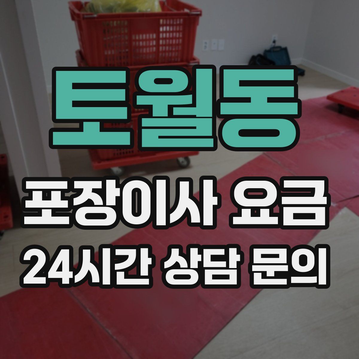토월동 포장이사 요금