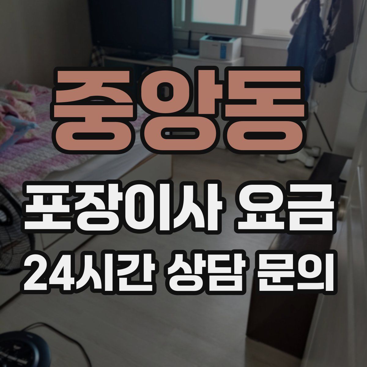 중앙동 포장이사 요금