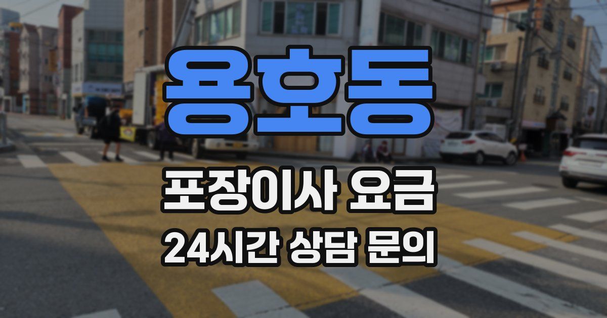 용호동 포장이사 요금