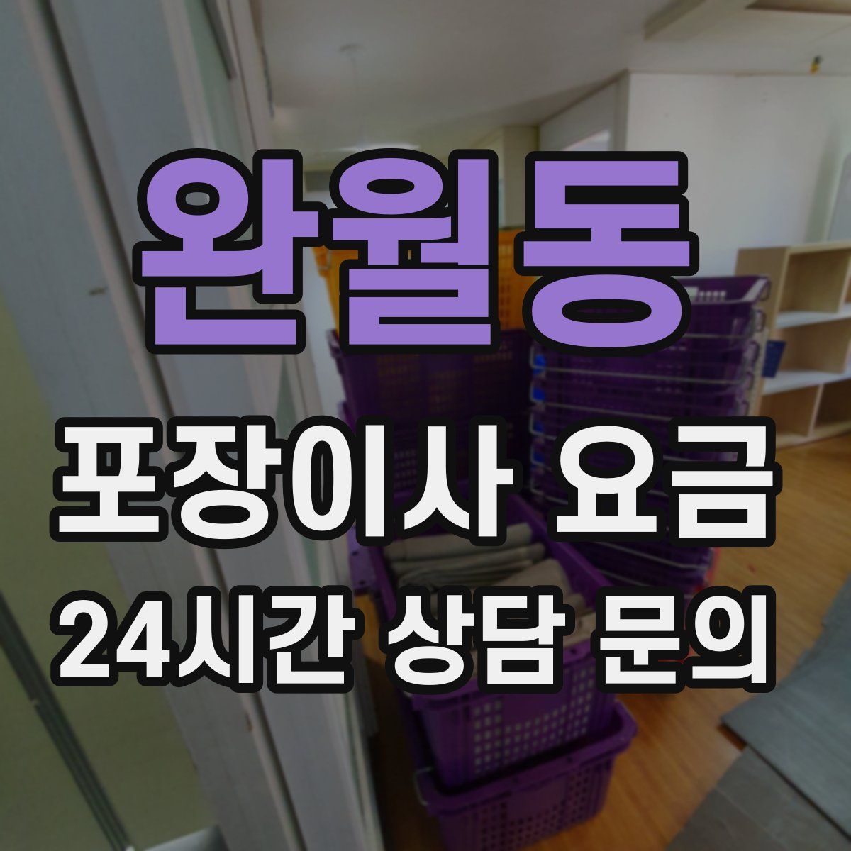 완월동 포장이사 요금