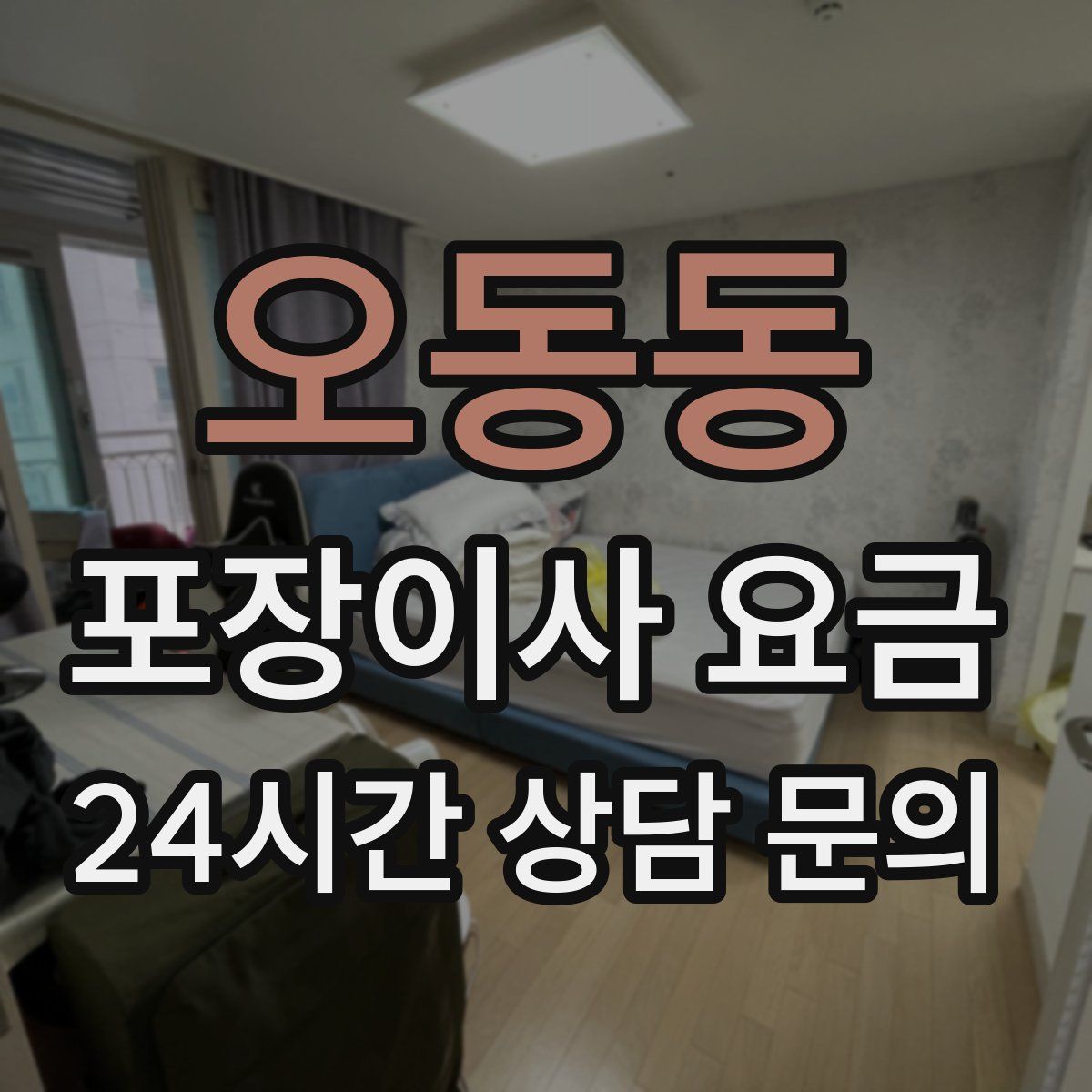 오동동 포장이사 요금