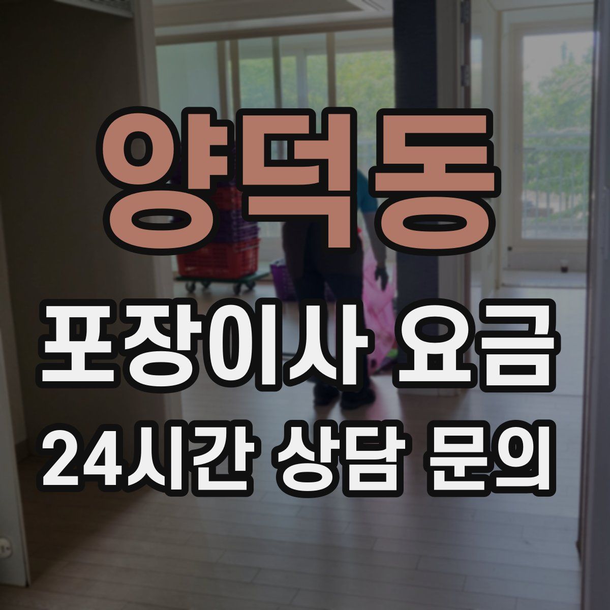 양덕동 포장이사 요금