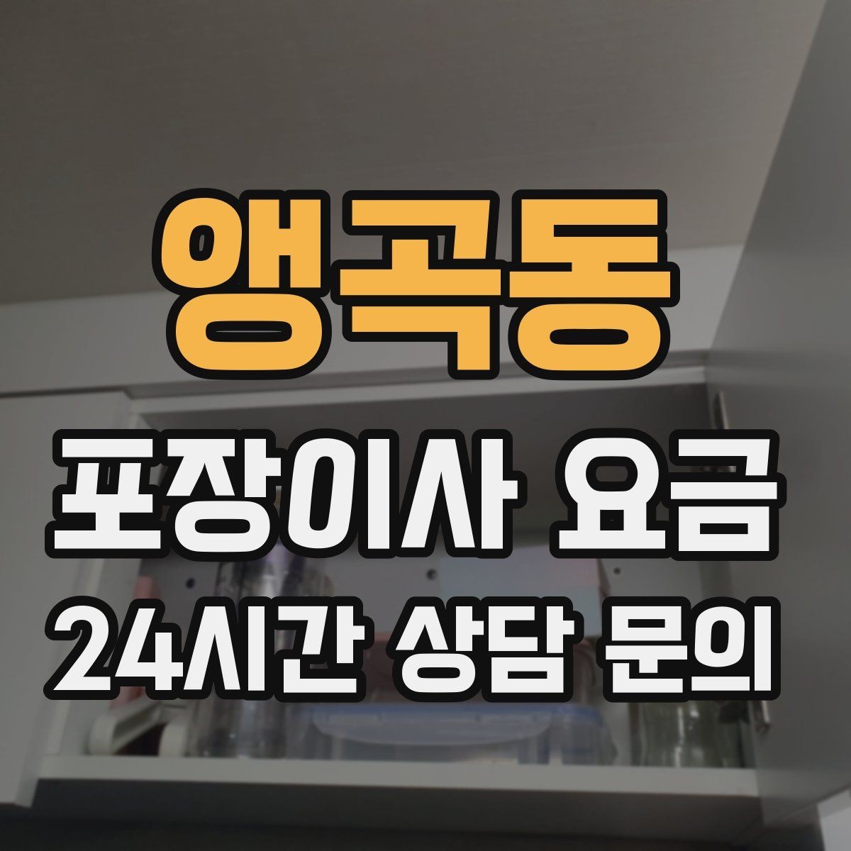 앵곡동 포장이사 요금 반려동물 이사 준비가 비용에 미치는 영향
