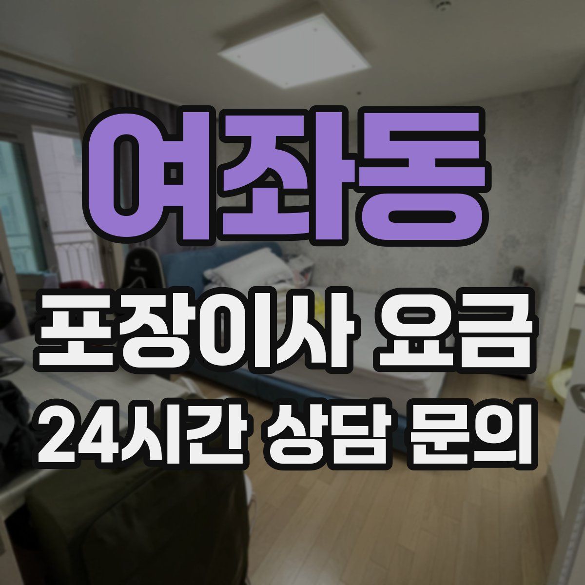 여좌동 포장이사 요금