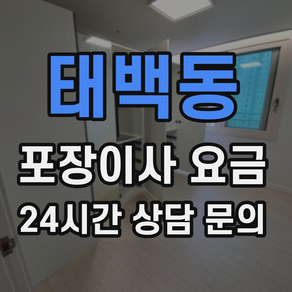 태백동 포장이사 요금