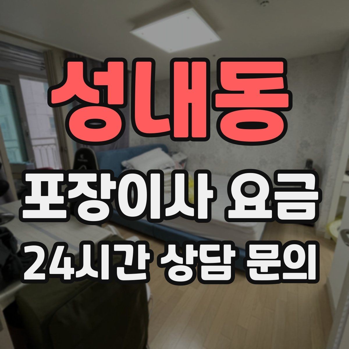성내동 포장이사 요금 반려동물 동선 확보로 사고 줄이는 방법