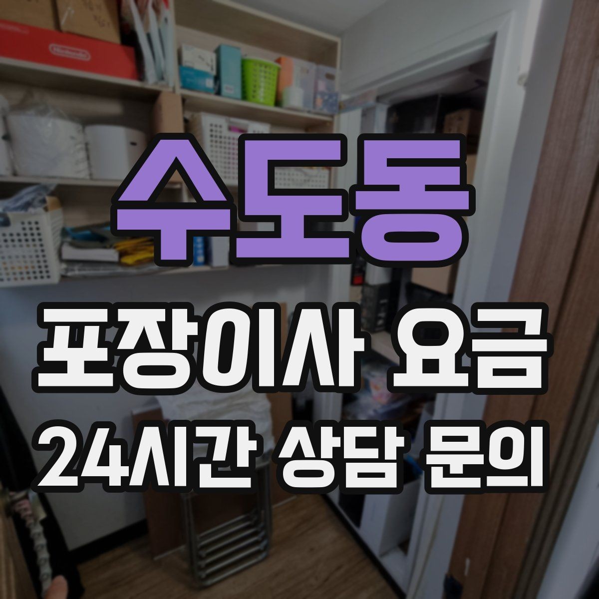 수도동 포장이사 요금 반려동물 이사 준비가 비용에 미치는 영향