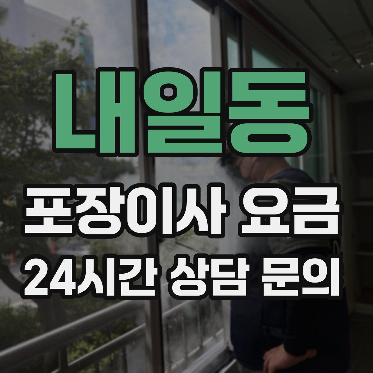 내일동 포장이사 요금