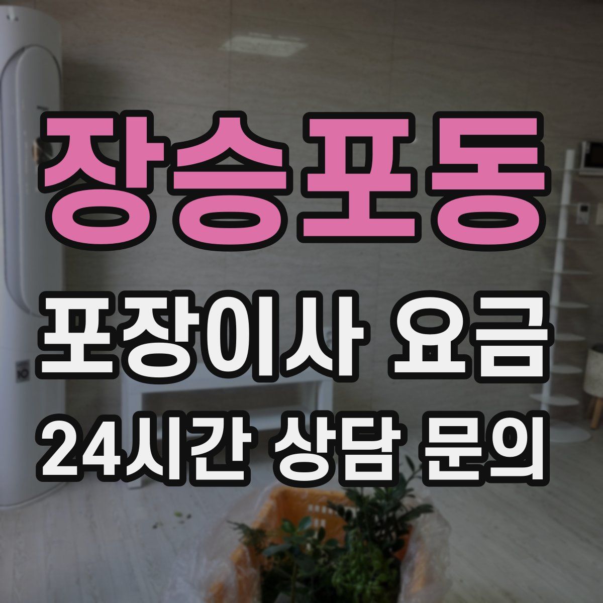 장승포동 포장이사 요금