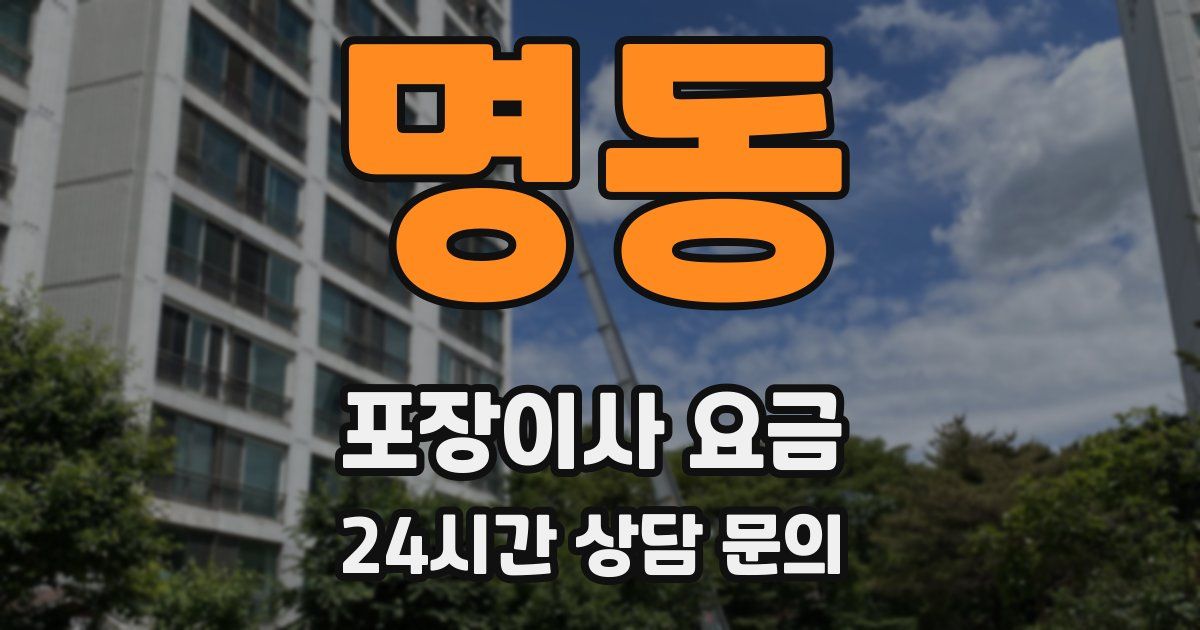명동 포장이사 요금