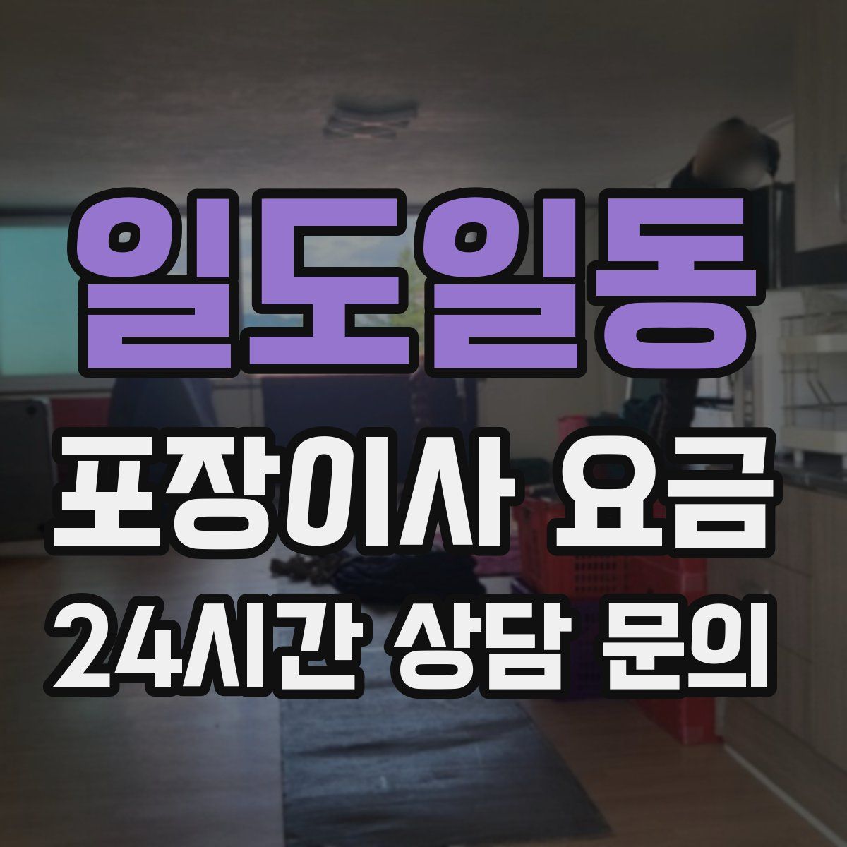 일도일동 포장이사 요금