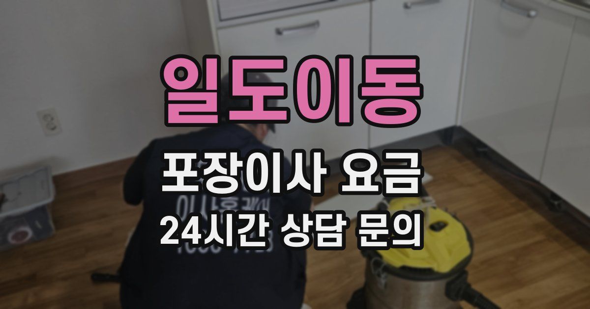 일도이동 포장이사 요금